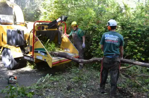 tree services Scott AFB